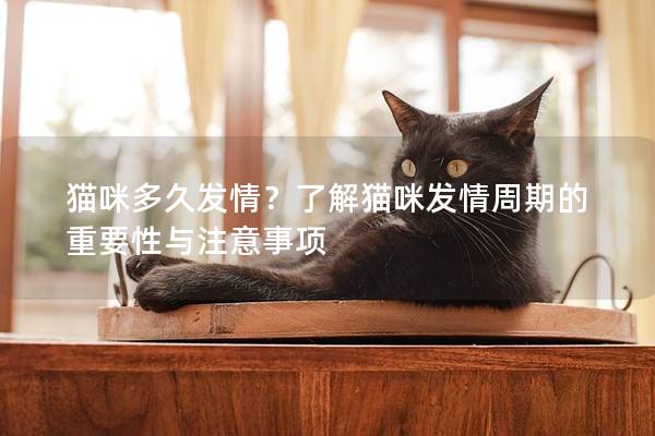 貓咪多久發情？了解貓咪發情周期的重要性與注意事項